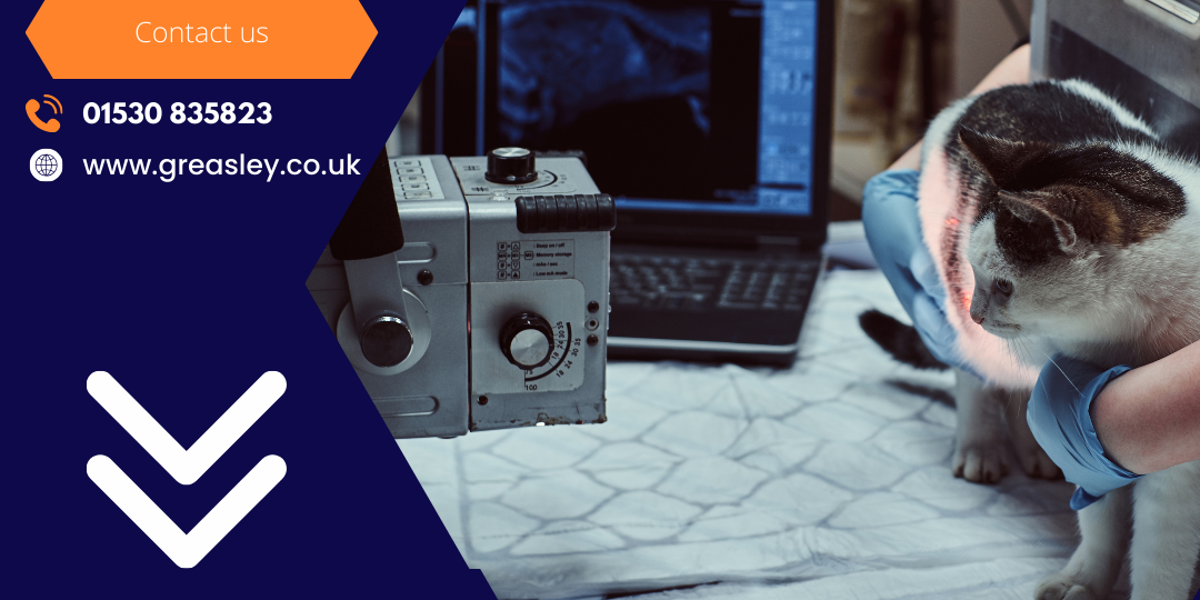 Vets practice xray machines